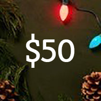 Gifts Under $50