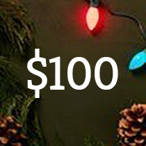 Gifts Under $100