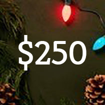 Gifts Under $250